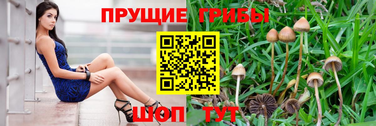 Галлюциногенные грибы мицелий Избербаш